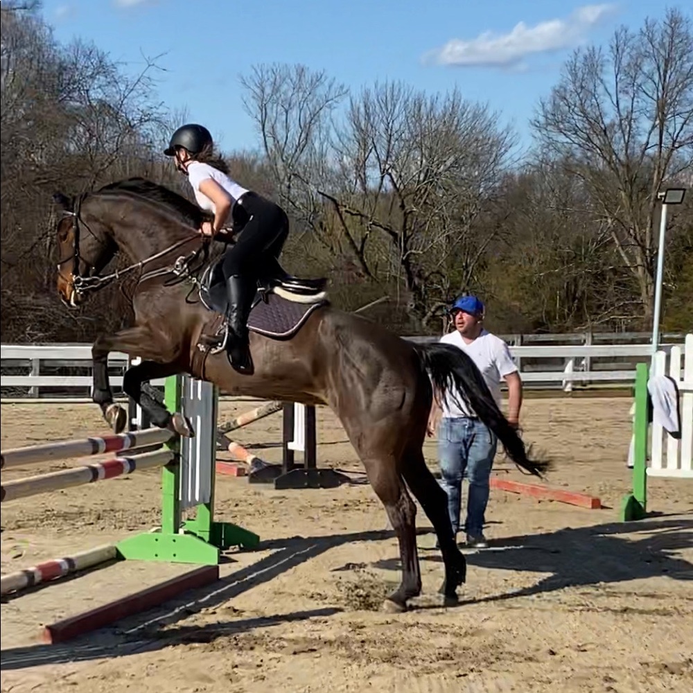 Meet your Posher, Emma